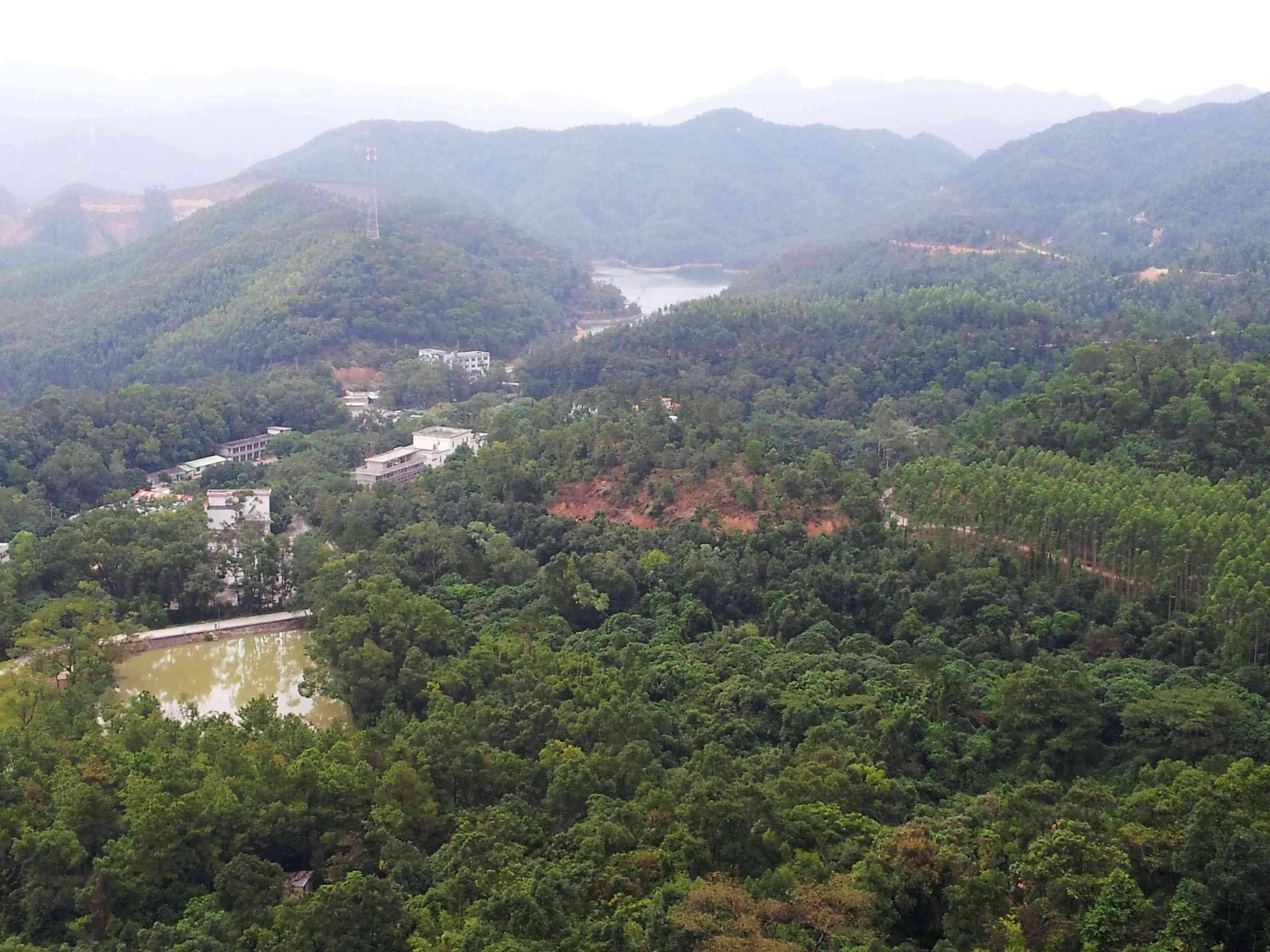 20121028_145323.jpg