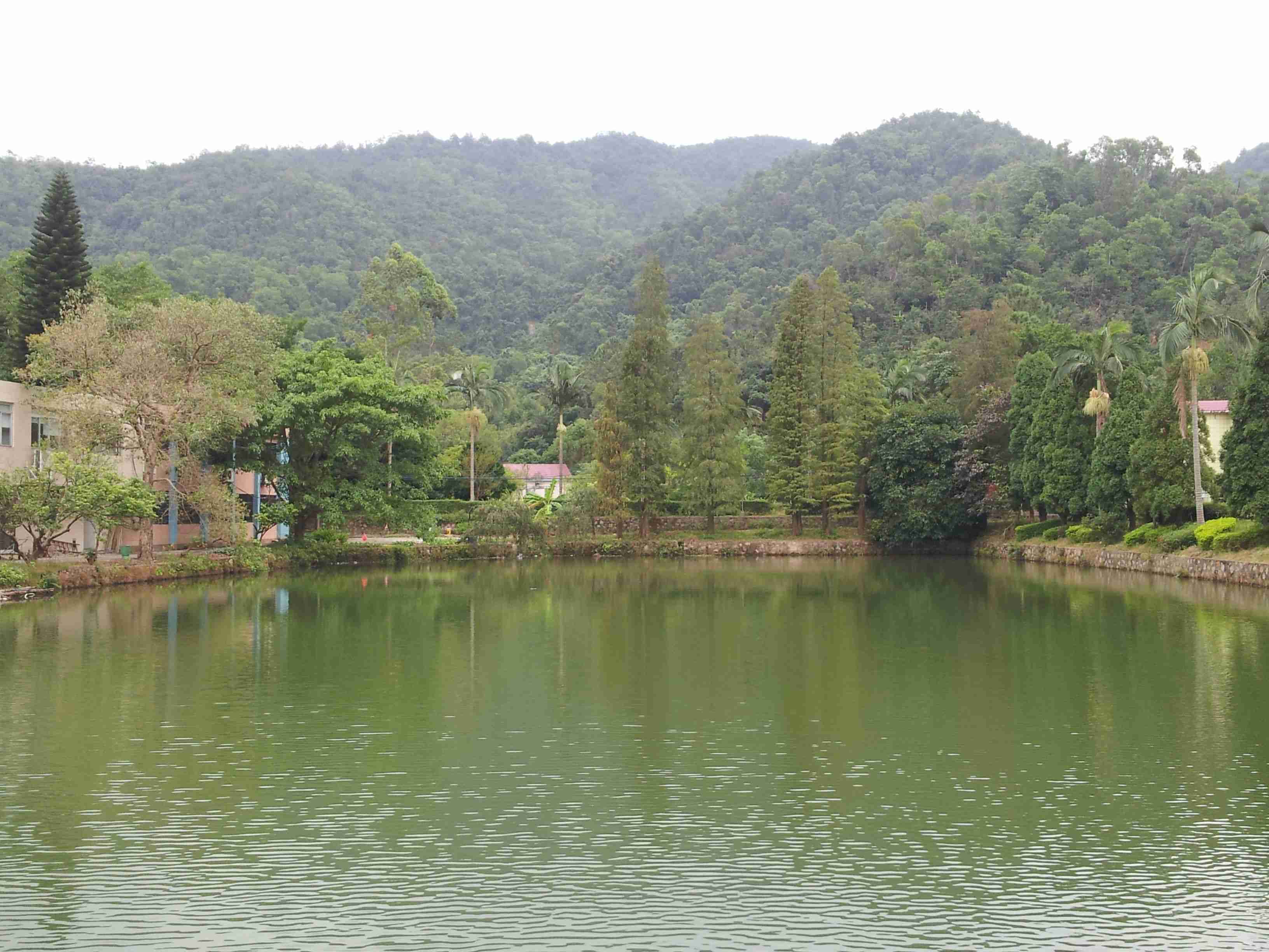 20121028_142507.jpg