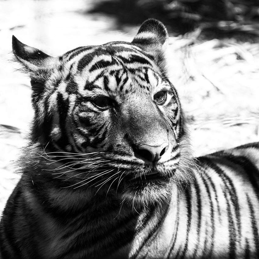 DSC_0216_22.jpg