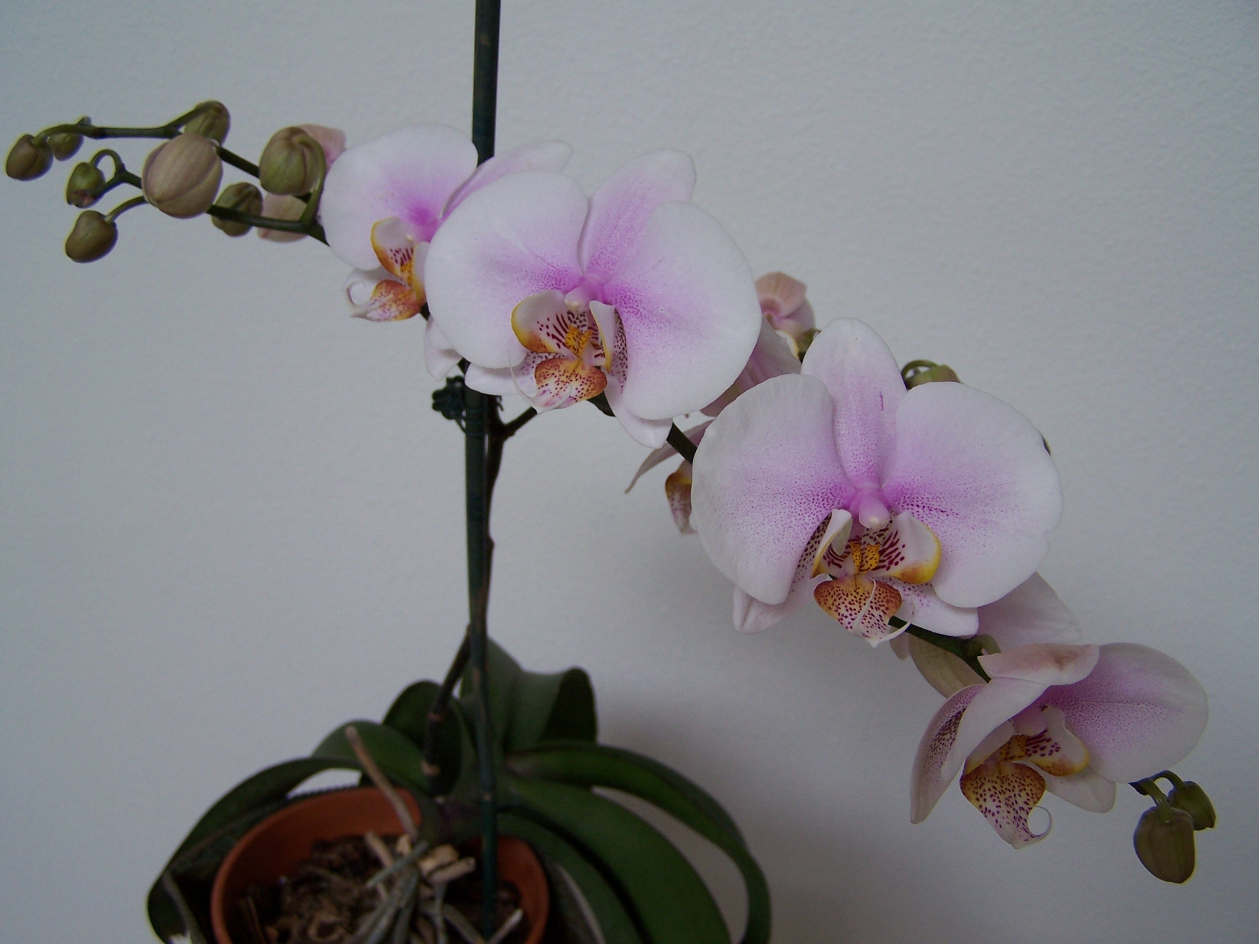 100_6312.JPG