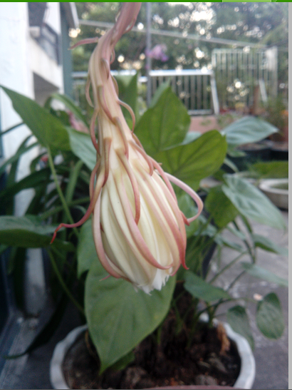 QQͼ20130708084047.png