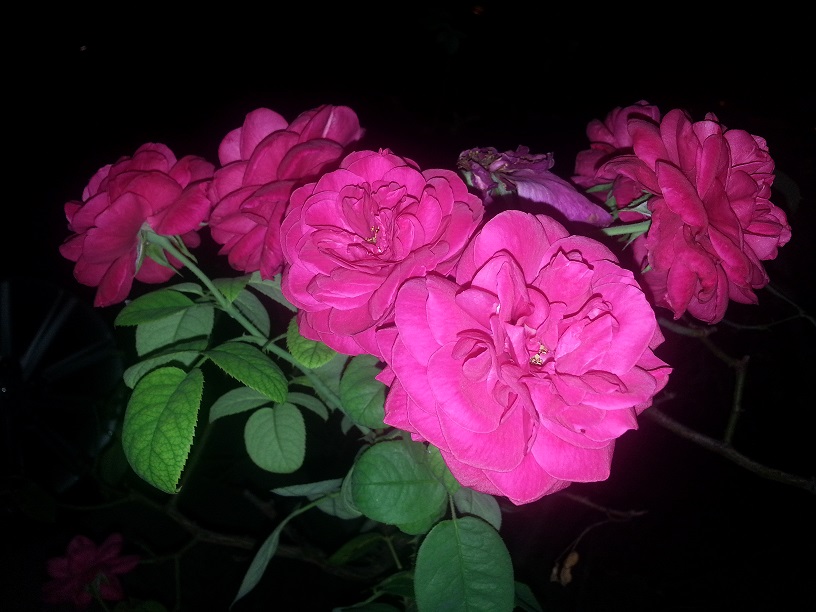 20130718_223603.jpg