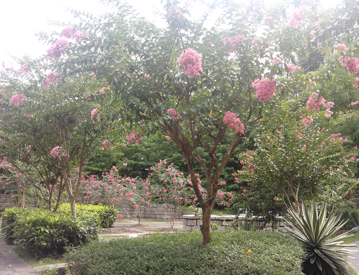 QQͼ20130715151346.png
