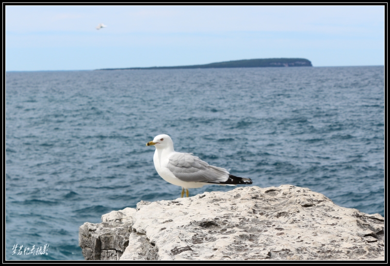 20130701 120_conew1.jpg