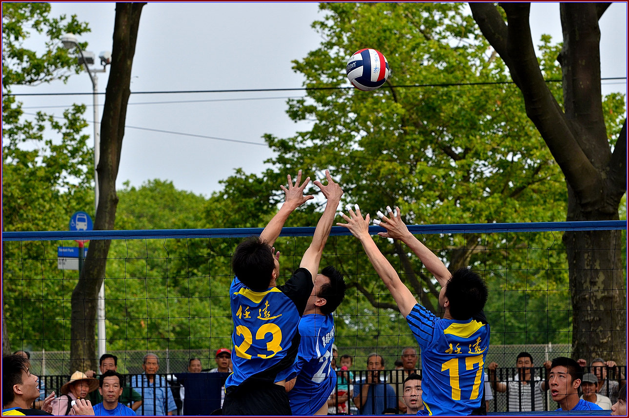 DSC_9652.jpg