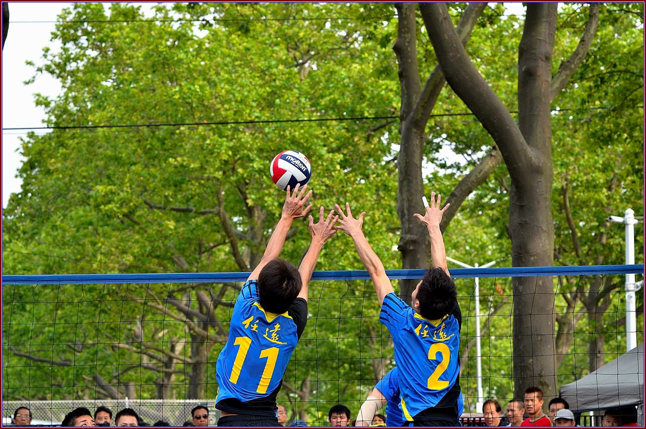 DSC_9654.jpg