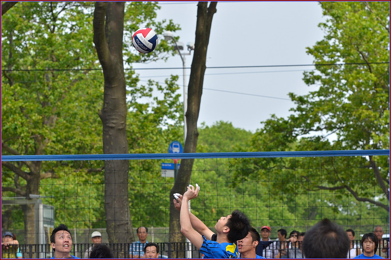 DSC_9645.jpg