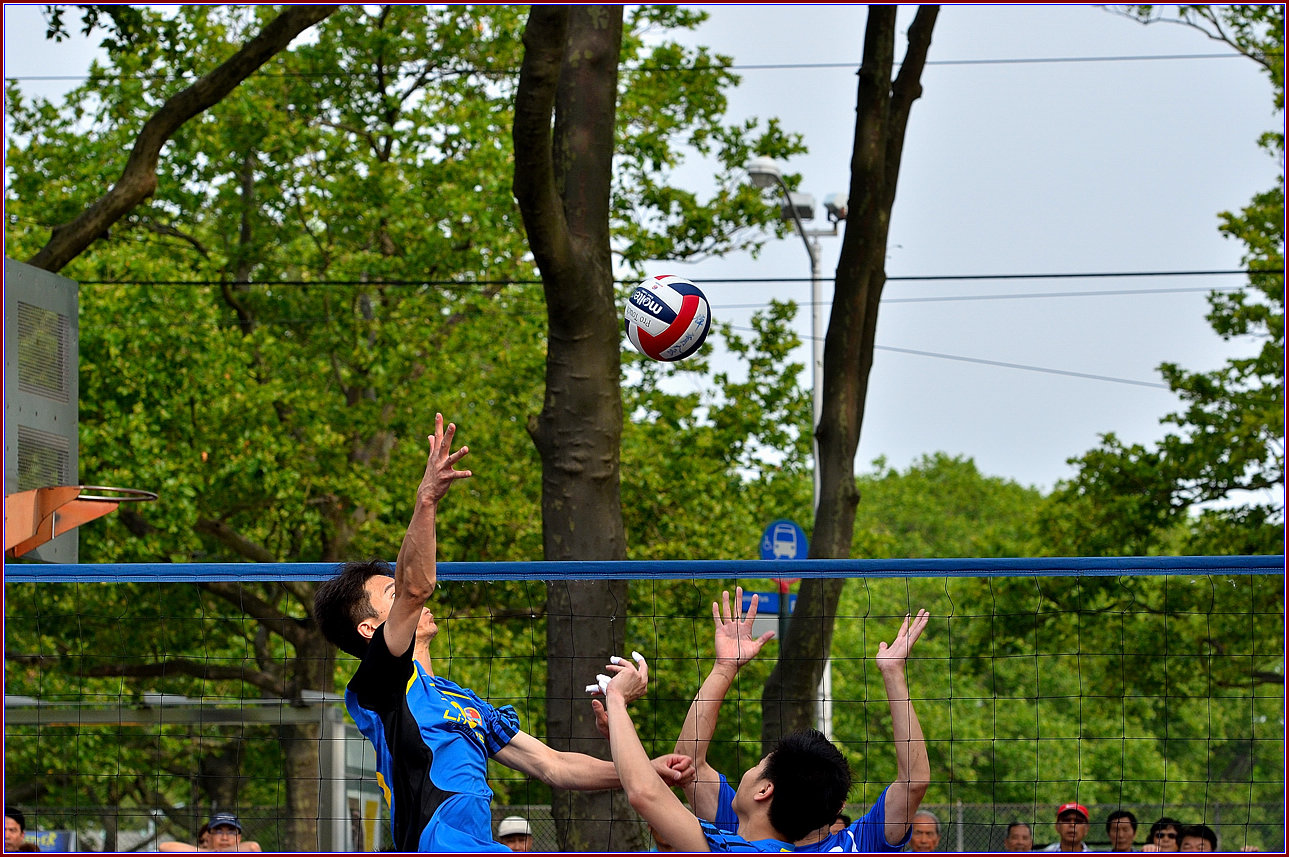 DSC_9648.jpg