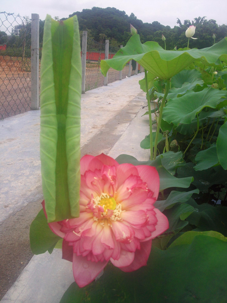 Ƭ0038_03_03.jpg