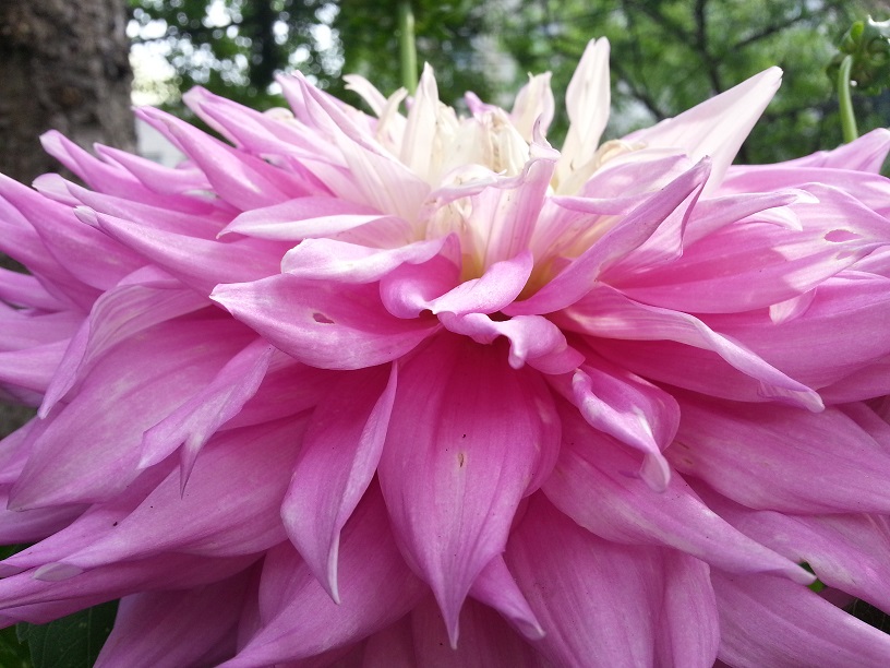 20130712_090218.jpg