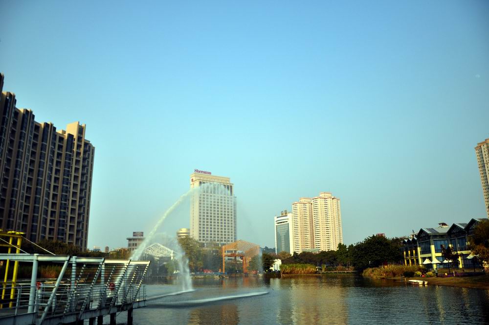 DSC_0469.JPG