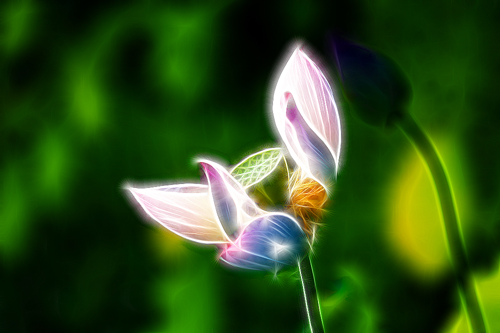 nEO_IMG_DPP_1193.jpg