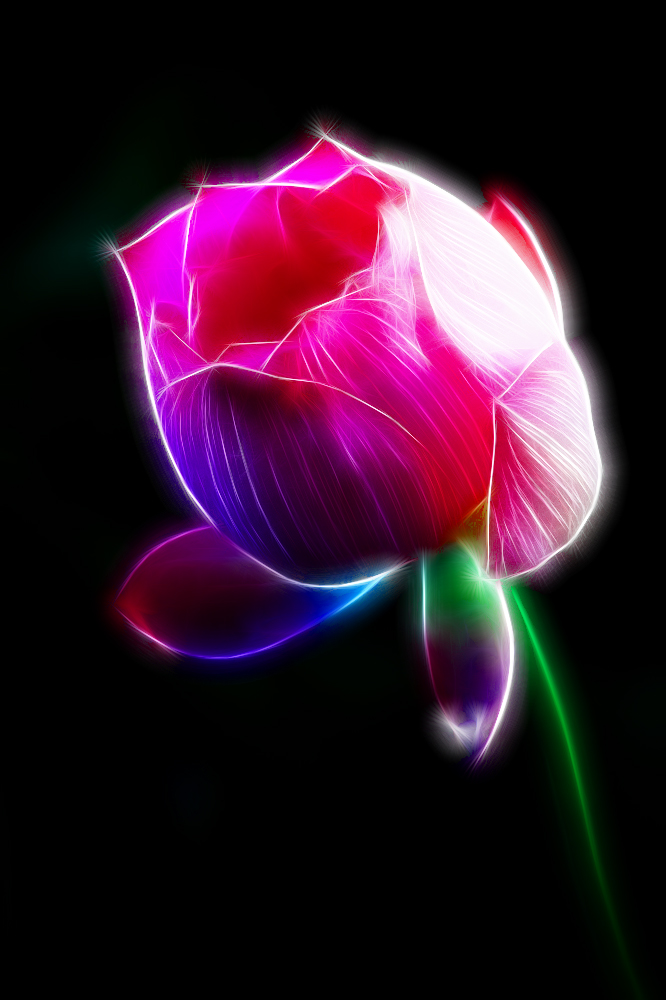nEO_IMG_DPP_1198.jpg