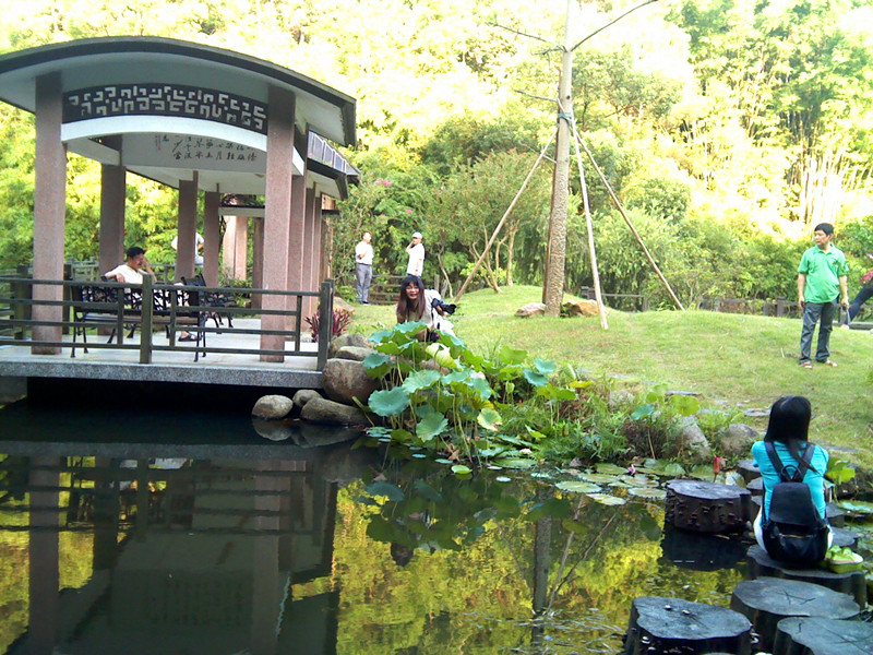 IMG_20130630_175241_.jpg