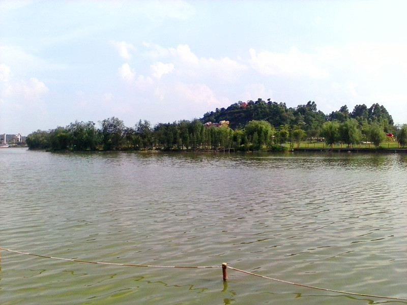 IMG_20130618_161547018_.jpg