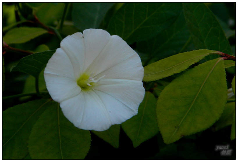 DSCN2980.JPG