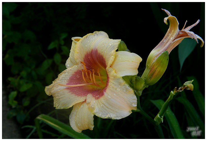 DSCN2977.JPG