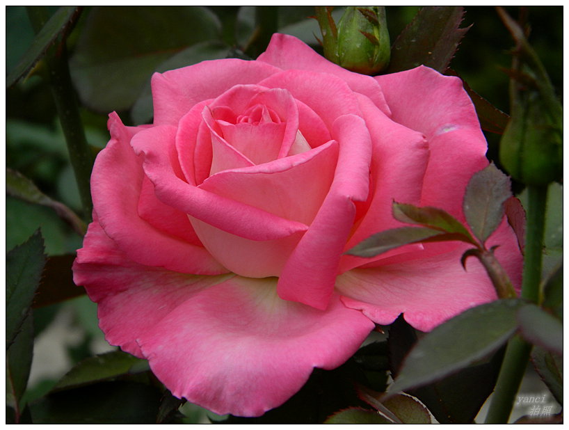 DSCN2660.JPG