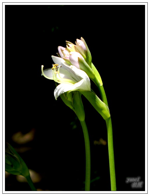 DSCN3014.JPG