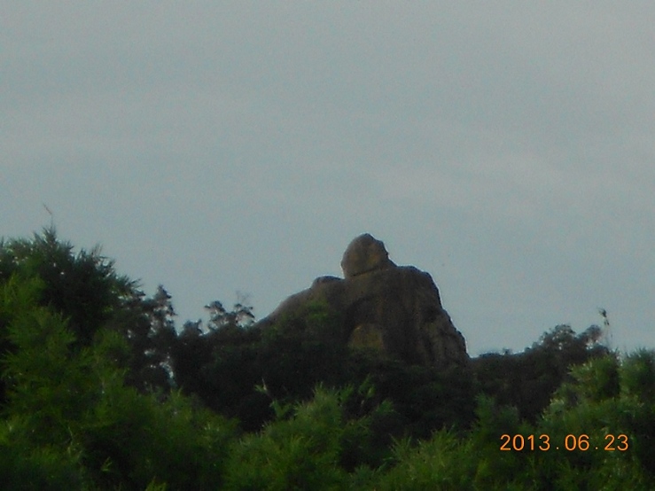 DSCN4819.JPG