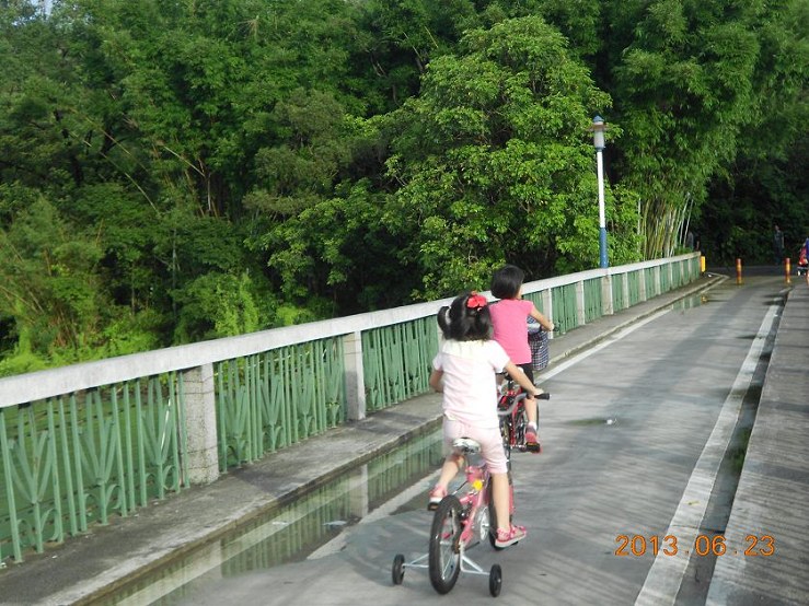 DSCN4816.JPG
