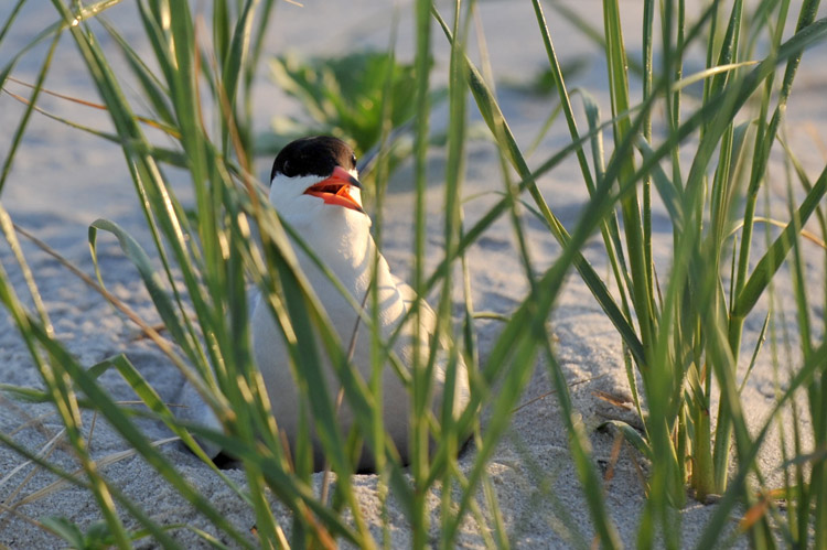 DSC_3358_����.jpg