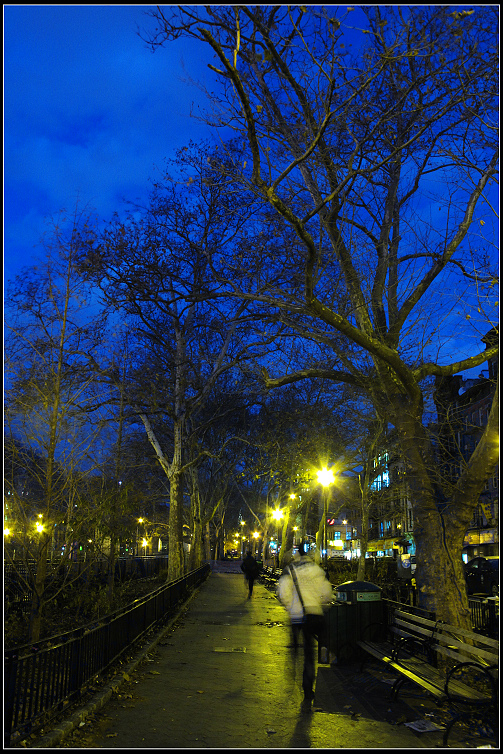 IMG_3424.jpg