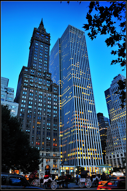 DSC_4362.JPG
