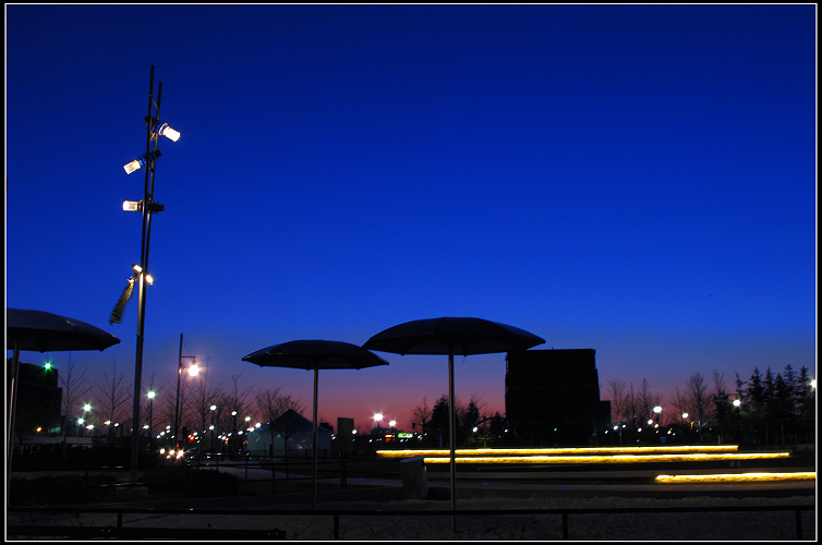 IMG_4486.jpg