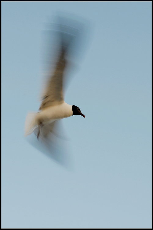 DSC_1843.jpg