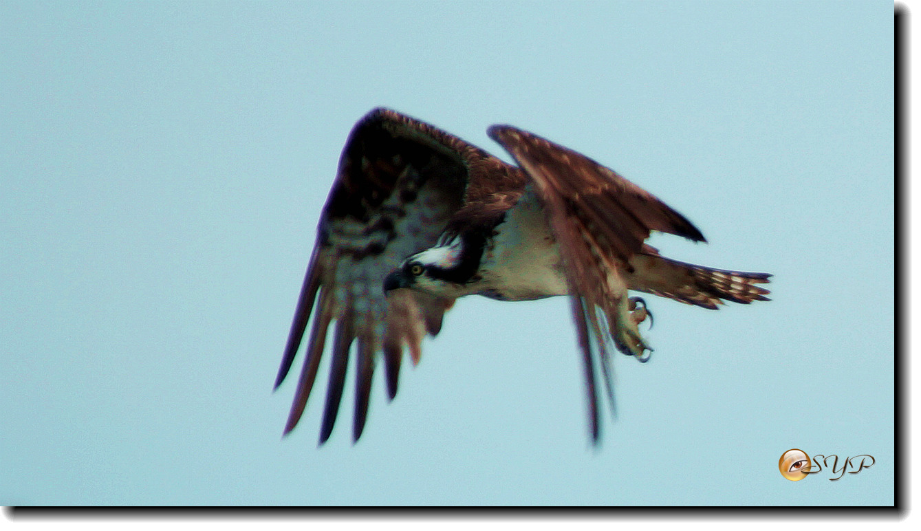 DSC00962_.jpg