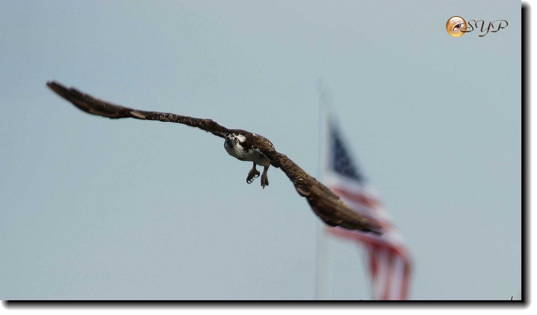 DSC00933a_.jpg
