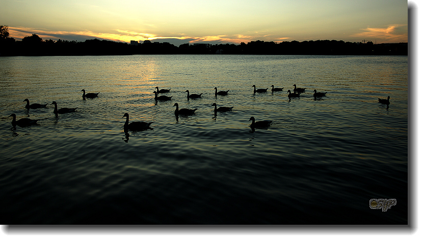 _DSC3618A.jpg