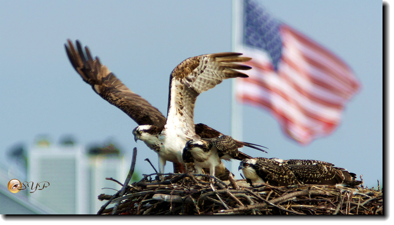DSC00950_.jpg
