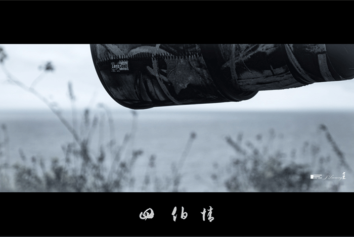 f75DSC00228b.gif