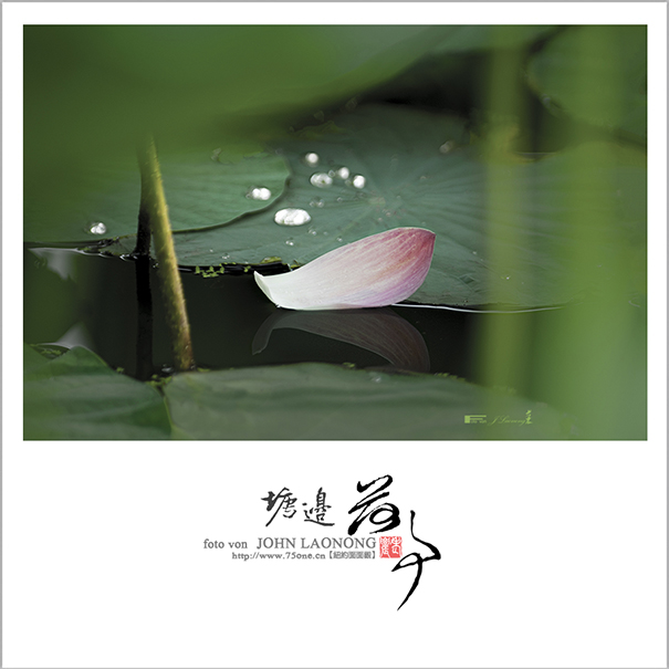 f75DSD_7209as.jpg