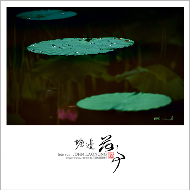 f75DSD_7229A.jpg