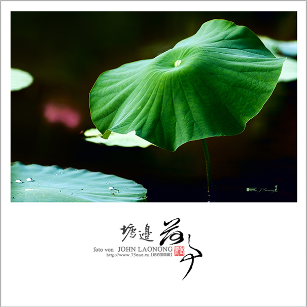f75DSD_7224.jpg
