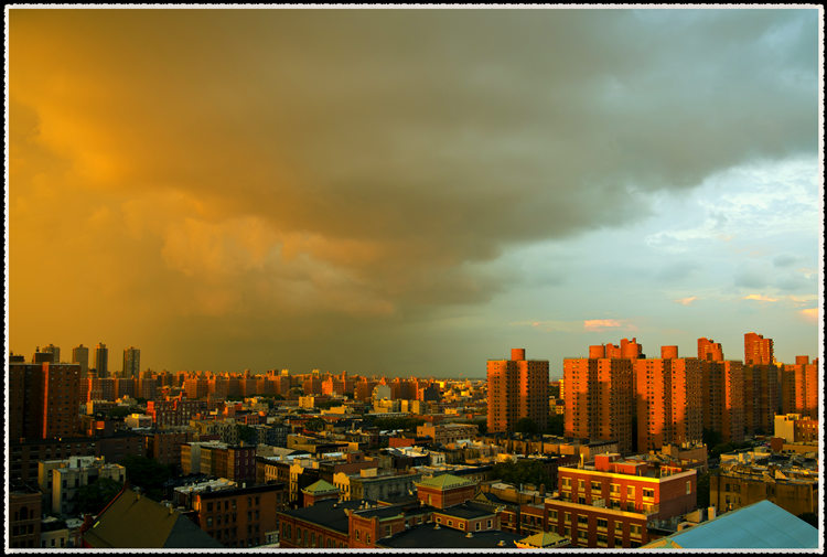 _DSC5742.jpg