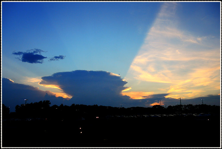 DSCN7787.jpg