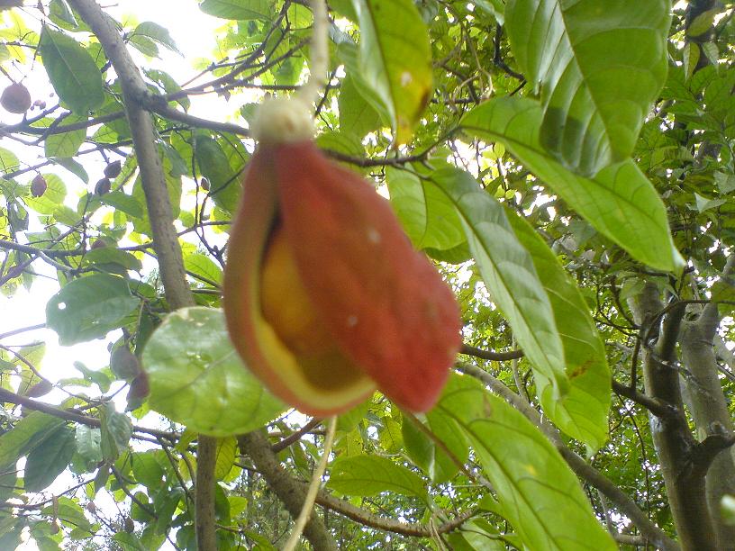 DSC06471.JPG