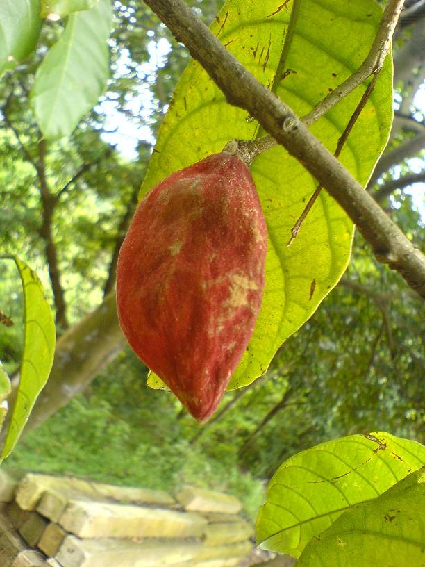 DSC06472.JPG
