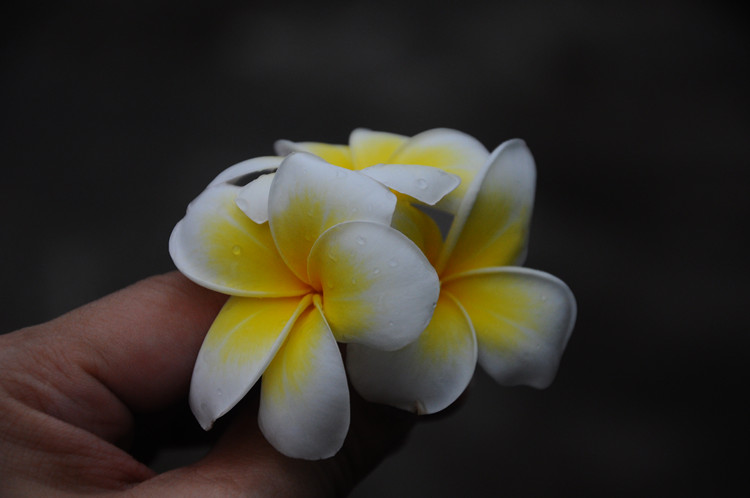 DSC_1104_.jpg
