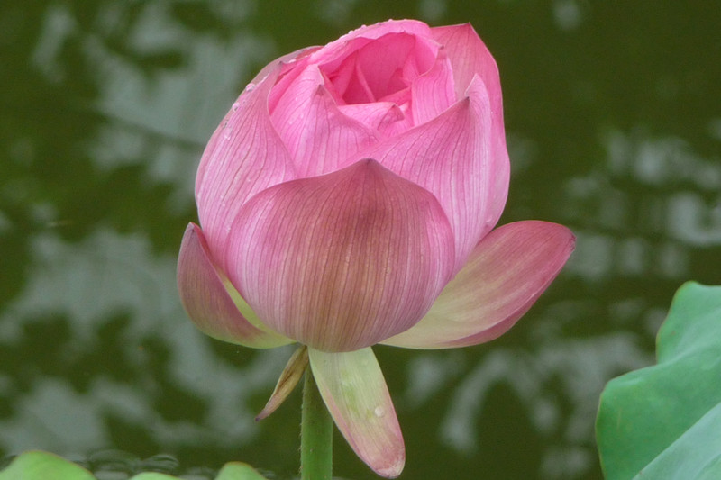 P1090320_.jpg
