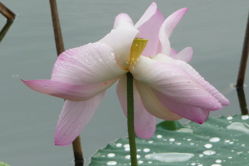 P1090322_.jpg
