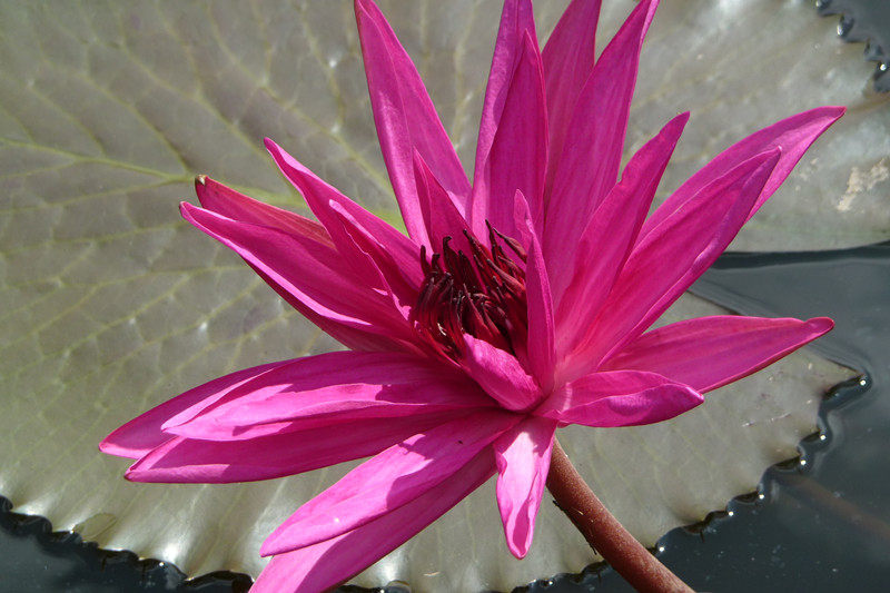 P1090314_.jpg