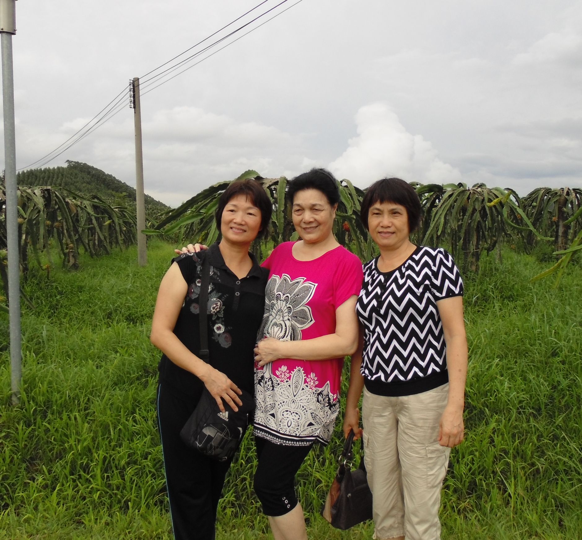 DSC00034_.jpg
