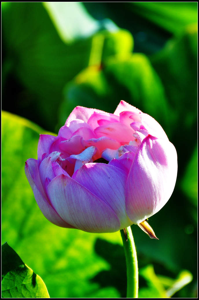 DSC_3668.jpg