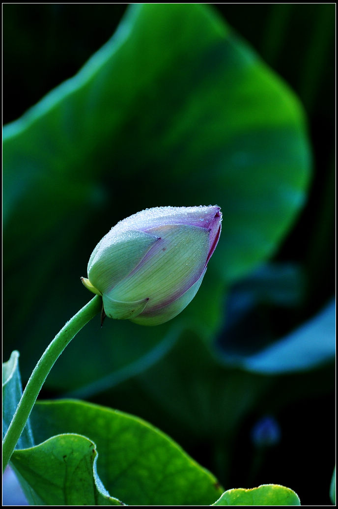 DSC_3587.jpg
