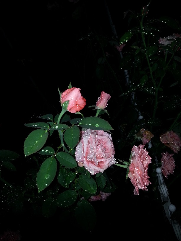 20130712_224358.jpg
